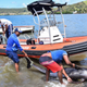 Dead Whales and Dolphins Are Washing Up on Beaches Near the Mauritius Oil Spill